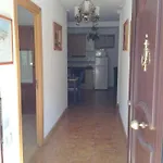 Palmeras
