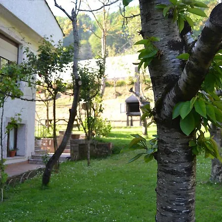 Apartamento Palmeras Onís