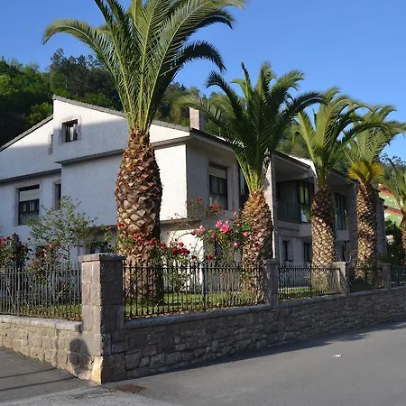Palmeras