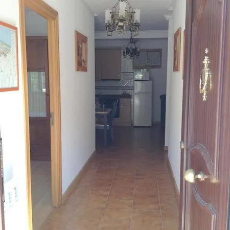 Palmeras