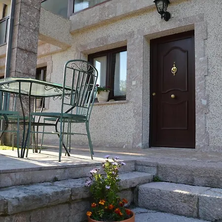 Palmeras Кангас-де-Онис